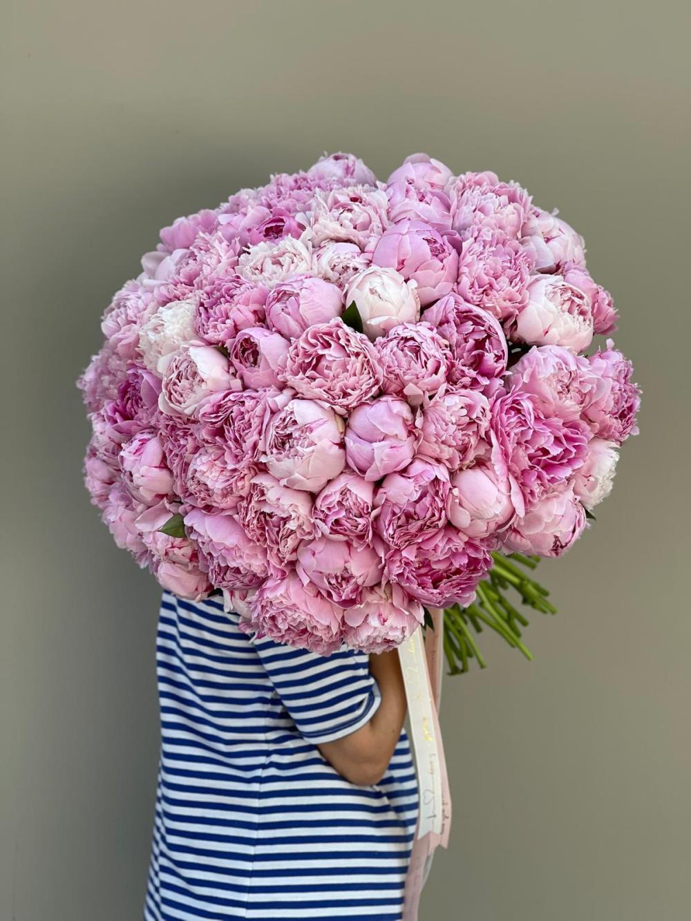 Peony Melody